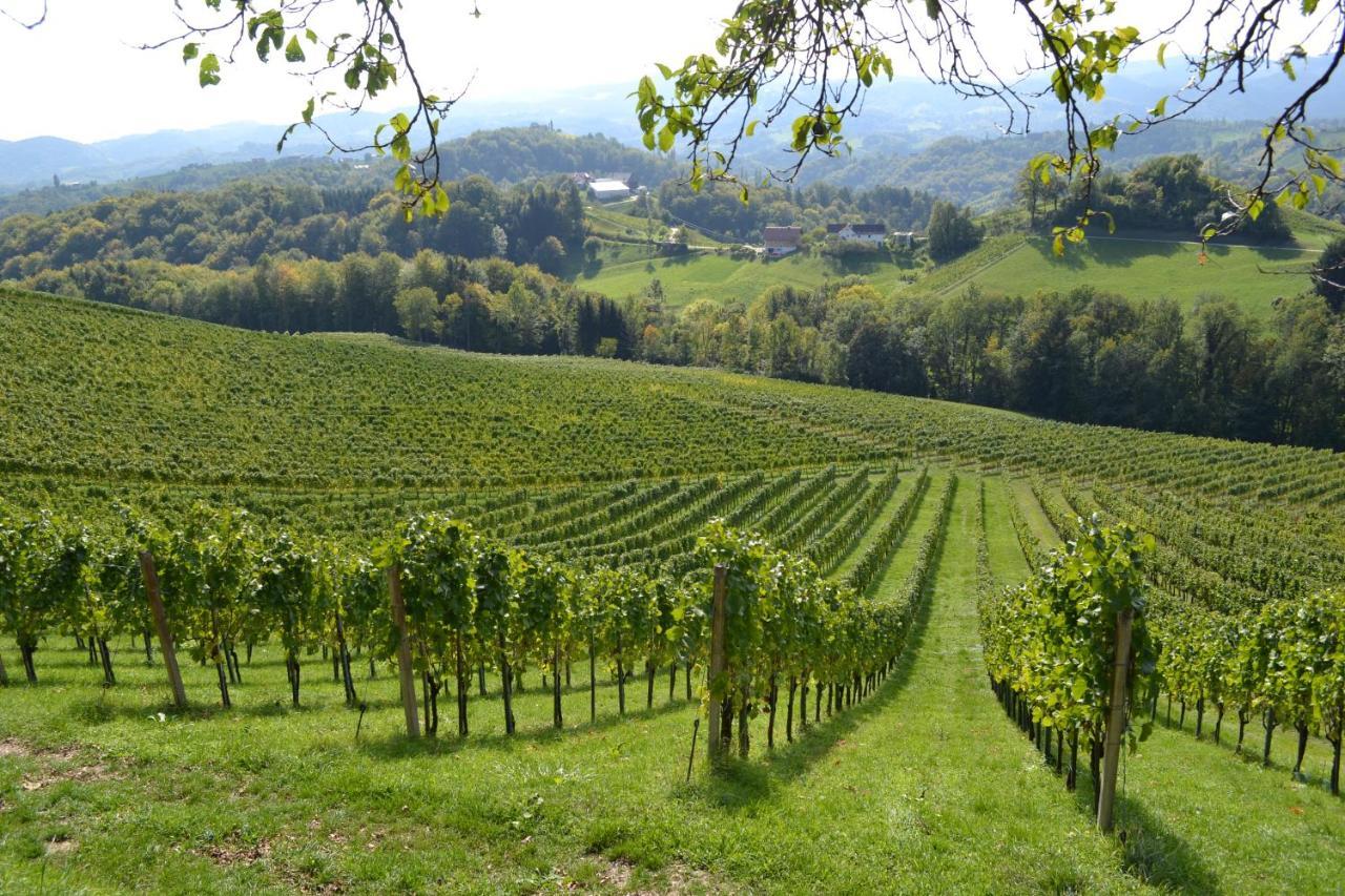 Weingut Fellner Bed & Breakfast Лейтшах Екстериор снимка